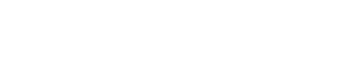 0logoipsum-262-1.png